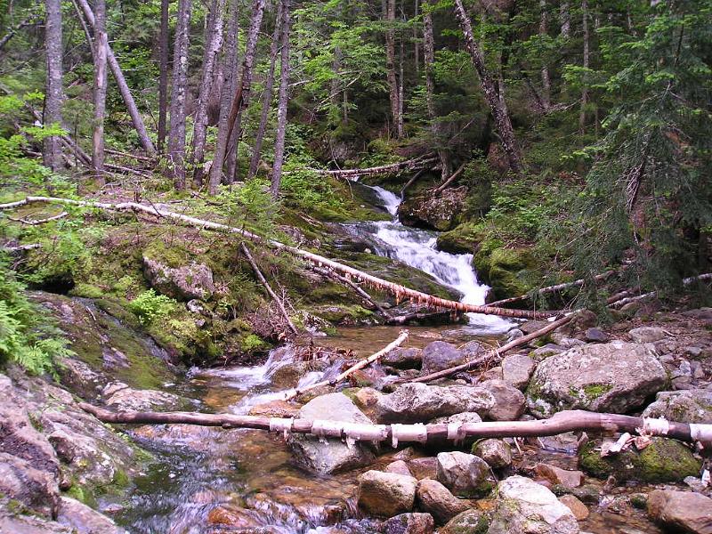 CarterDome (38).JPG - On our way down I decided to take a waterfall picture. There are a lot of small falls along the trail and with all the recent rain they were something to behold. By the end of the day, we covered 11.2 miles in about 8 hours. A lot of hiking in a short amount of time.